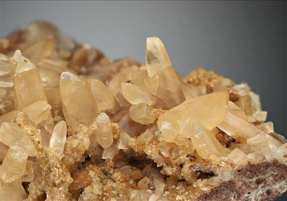 CC16424 specimen image