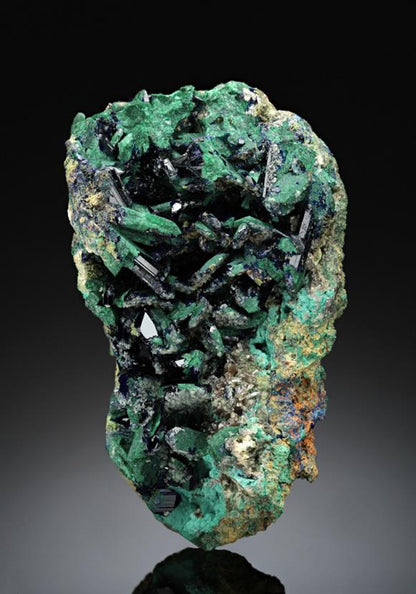 CC16434 specimen image