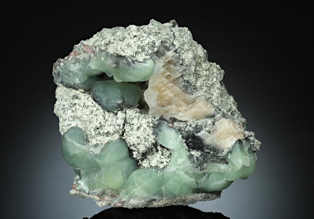 CC16440 specimen image