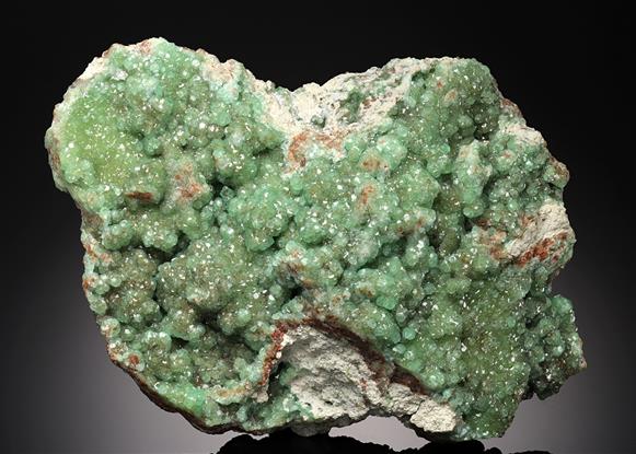 CC16446 specimen image