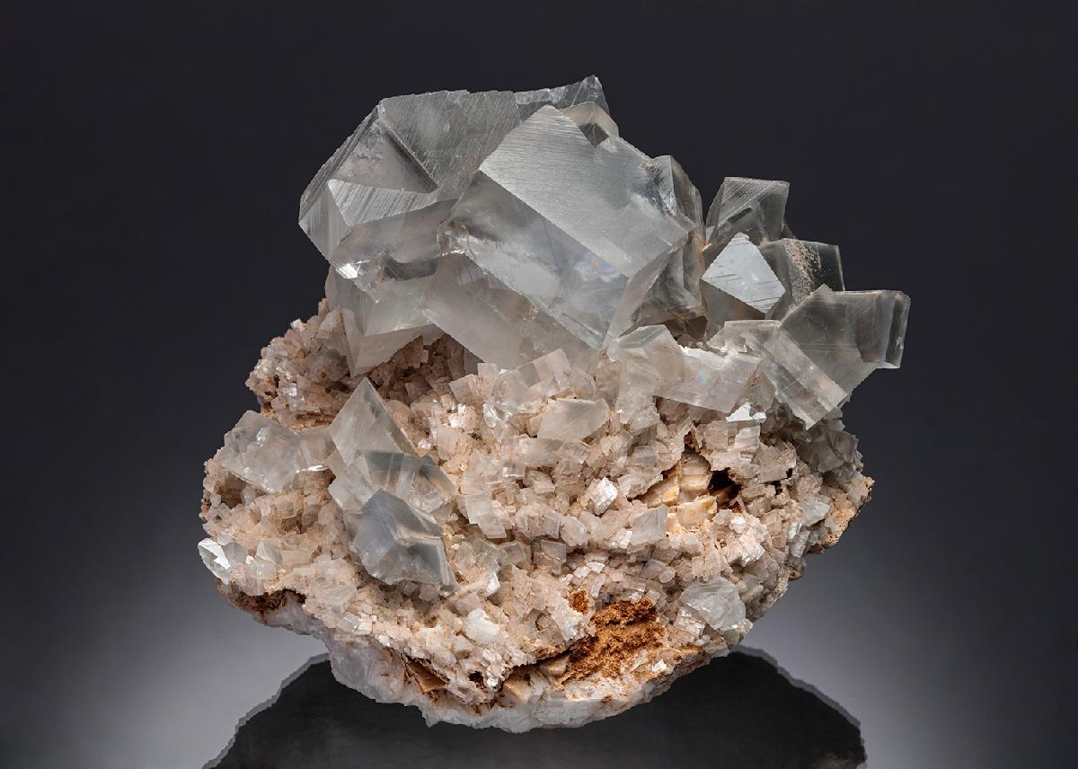 CC16470 specimen image