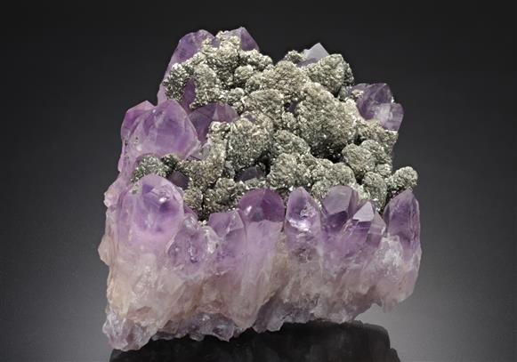 CC16484 specimen image