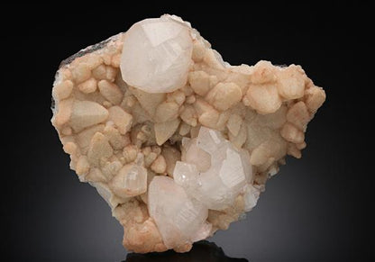 CC16485 specimen image