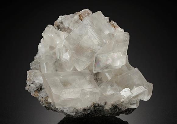 CC16515 specimen image