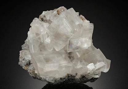 CC16515 specimen image