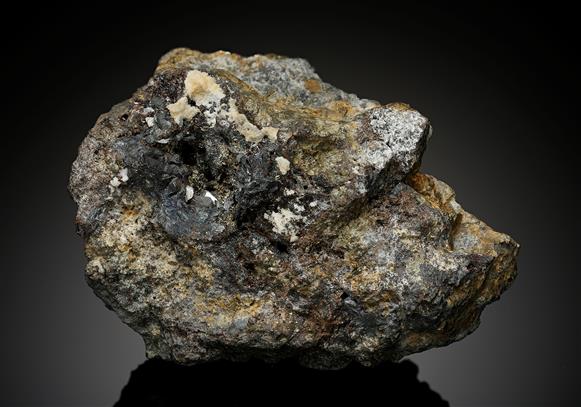 CC16540 specimen image