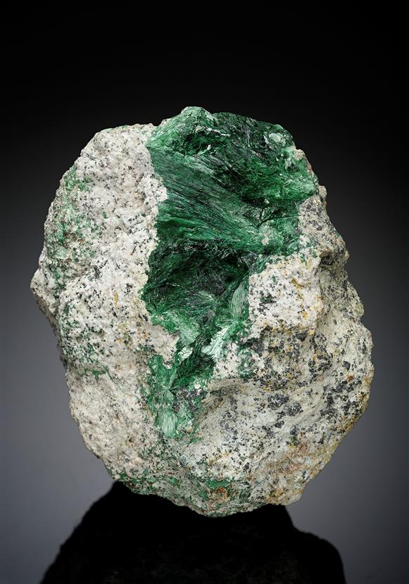 CC16547 specimen image