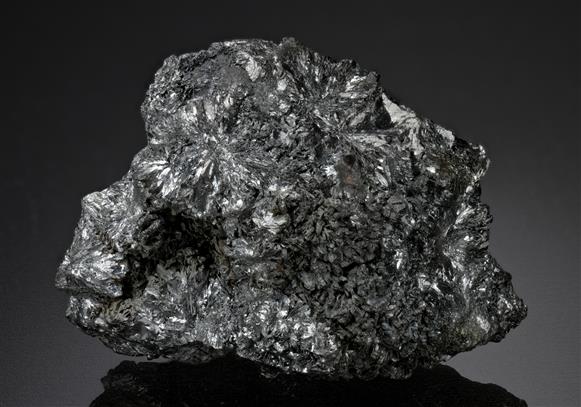 CC16572 specimen image
