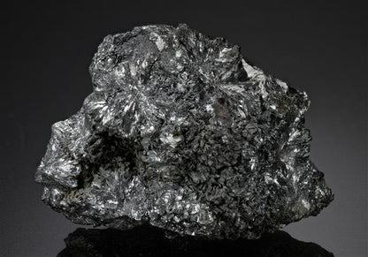 CC16572 specimen image