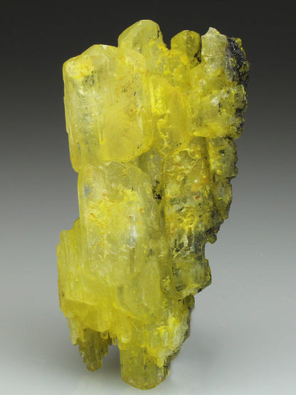 CC1662 specimen image