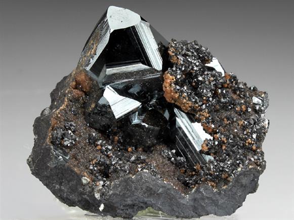 CC1664 specimen image