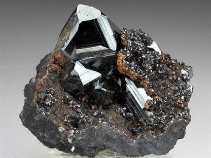 CC1664 specimen image