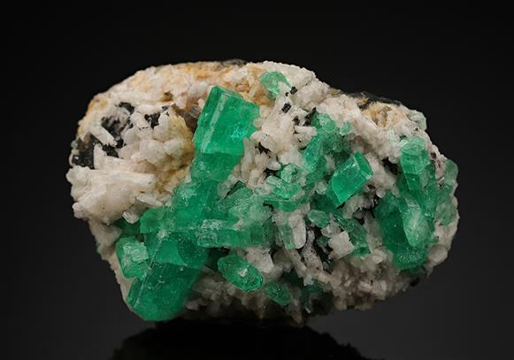 CC16675 specimen image