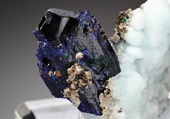 CC16707 specimen image