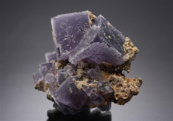 CC16723 specimen image