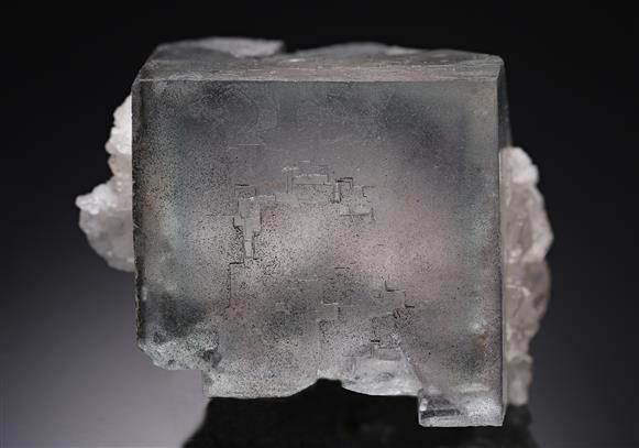 CC16724 specimen image