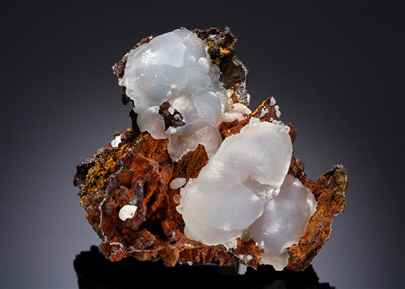CC16729 specimen image