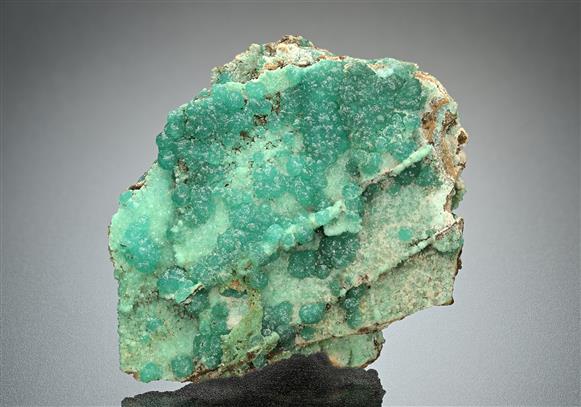 CC16745 specimen image