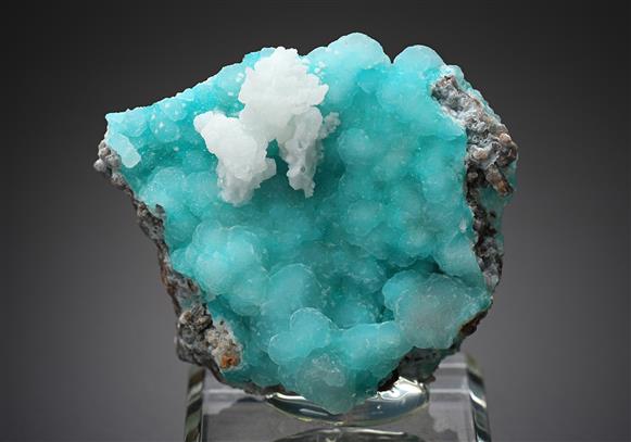 CC16746 specimen image