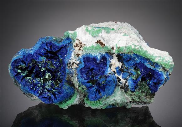CC16752 specimen image