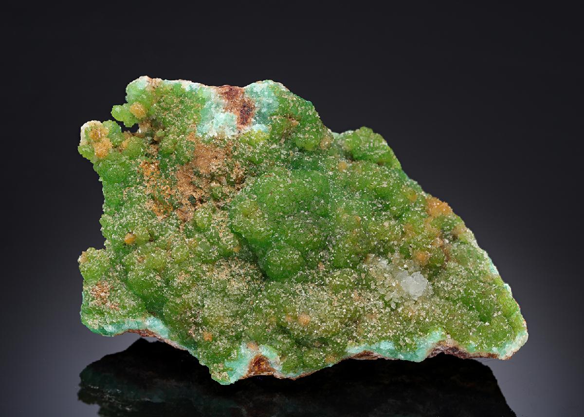CC16756 specimen image