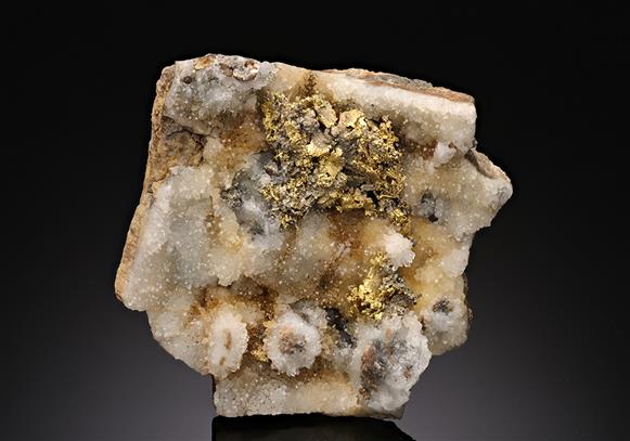 CC16765 specimen image