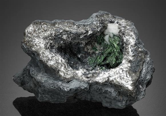 CC16800 specimen image