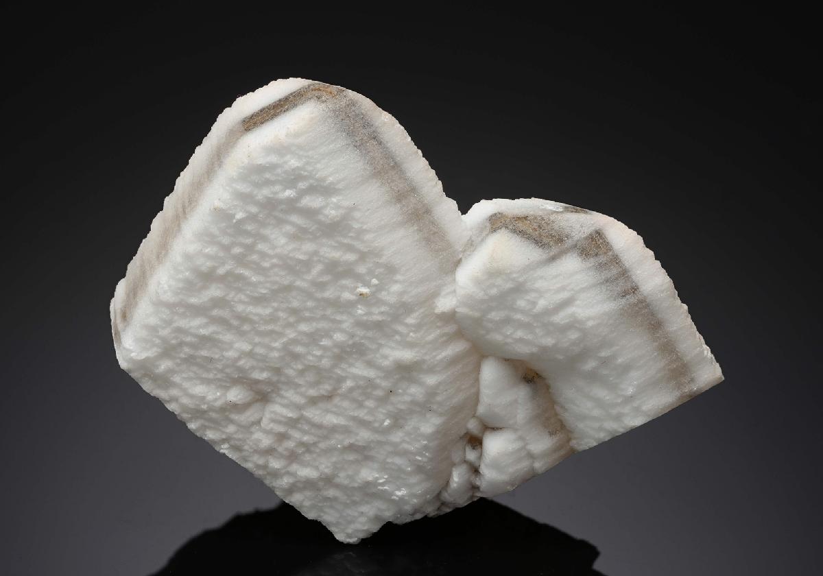 CC16830 specimen image