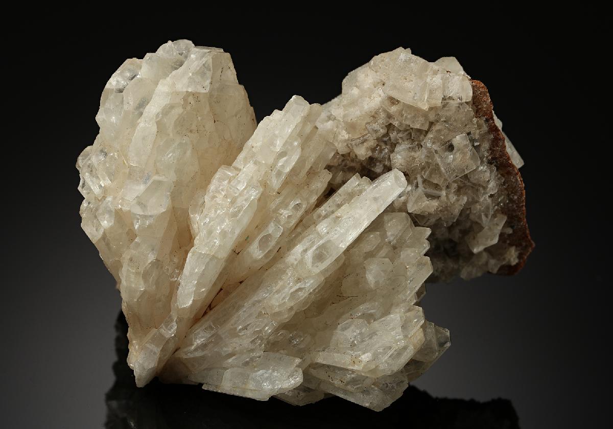 CC16836 specimen image