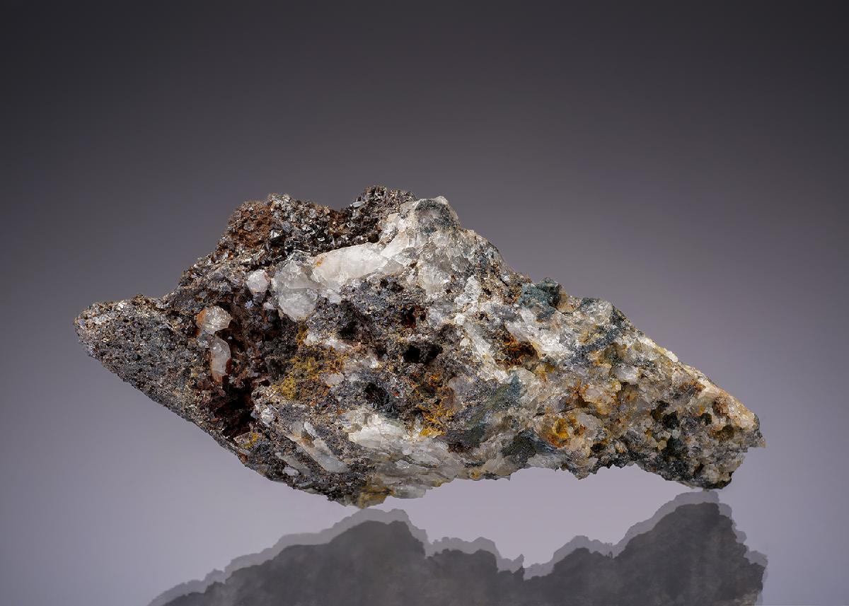 CC16855 specimen image
