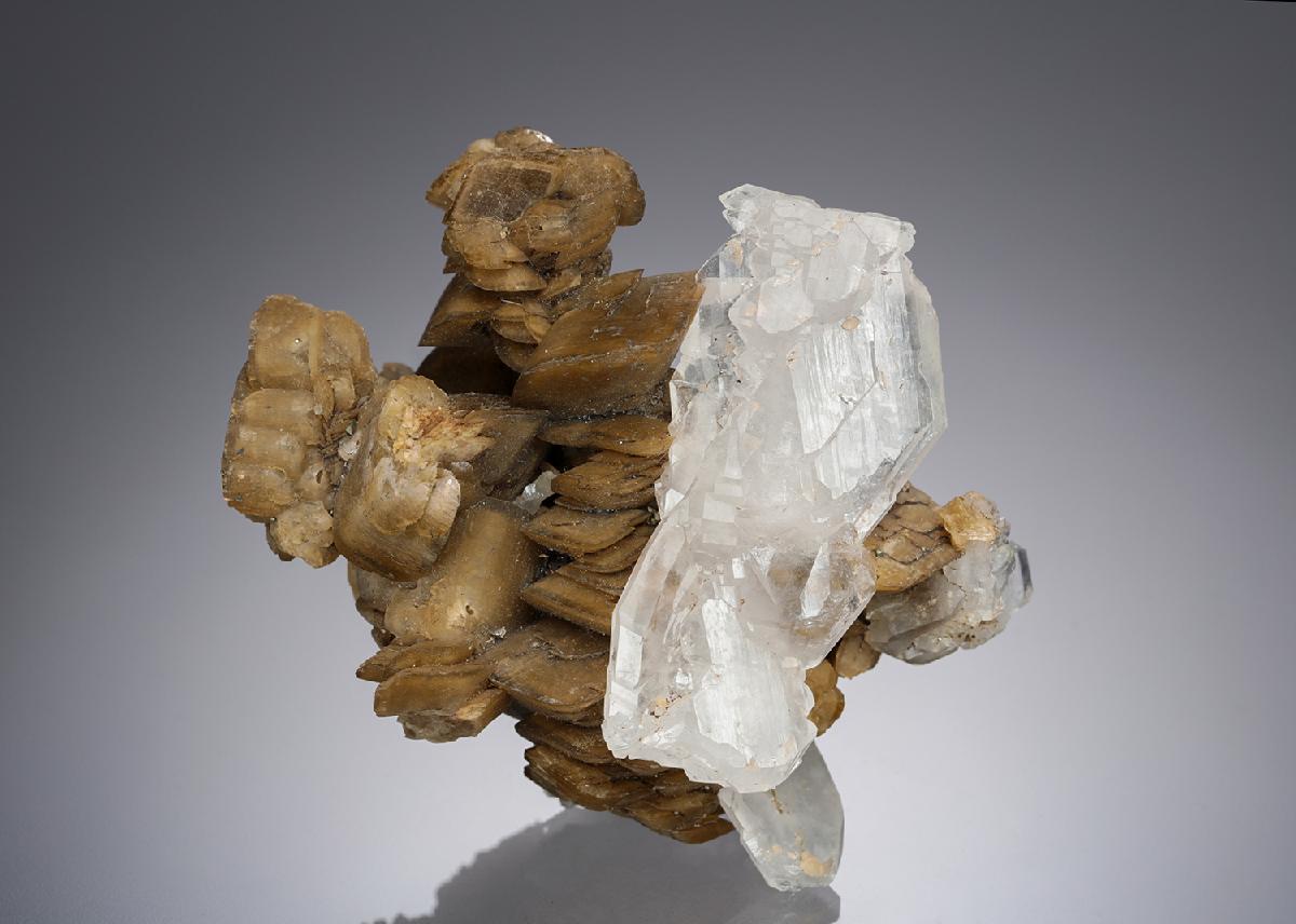 CC1685 specimen image