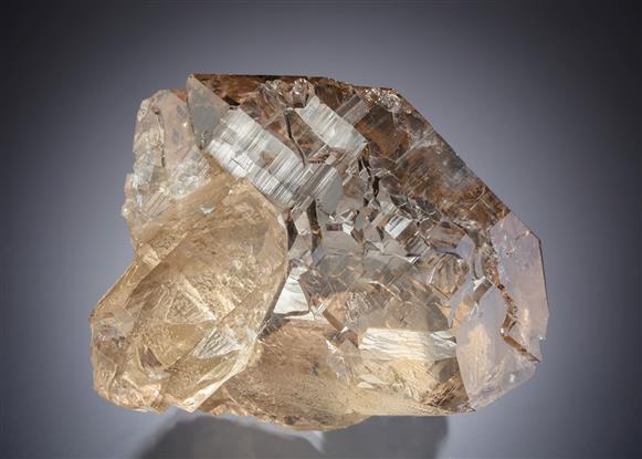 CC16863 specimen image