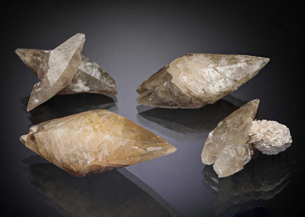 CC16883 specimen image