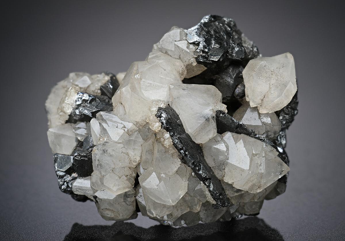 CC16886 specimen image