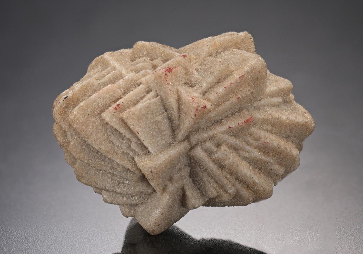 CC16894 specimen image