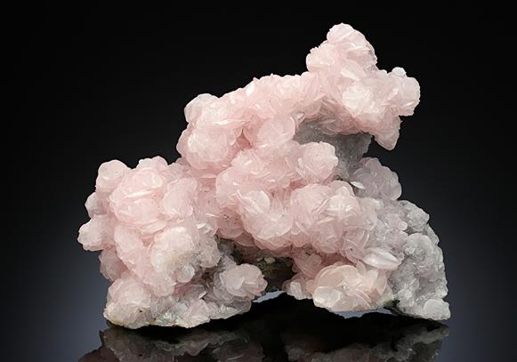 CC16901 specimen image