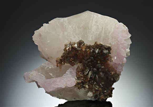 CC16927 specimen image