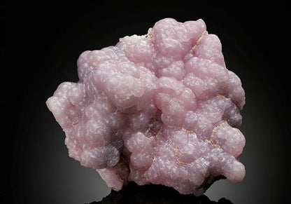 CC16947 specimen image