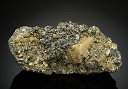 CC16949 specimen image