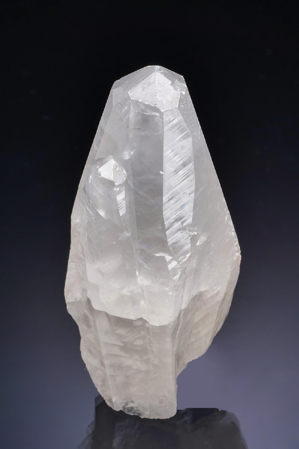 CC16962 specimen image