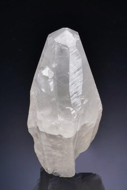 CC16962 specimen image
