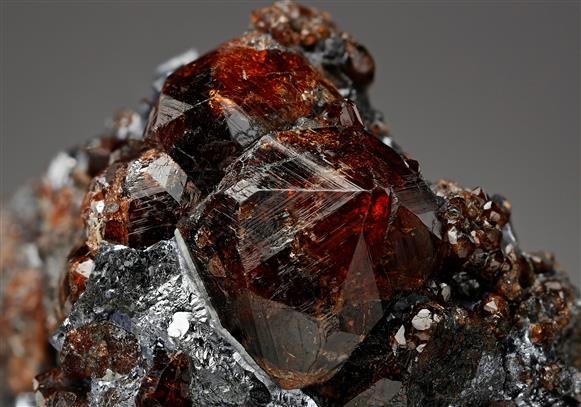 CC16971 specimen image