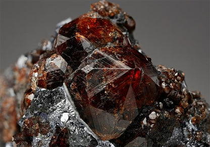 CC16971 specimen image