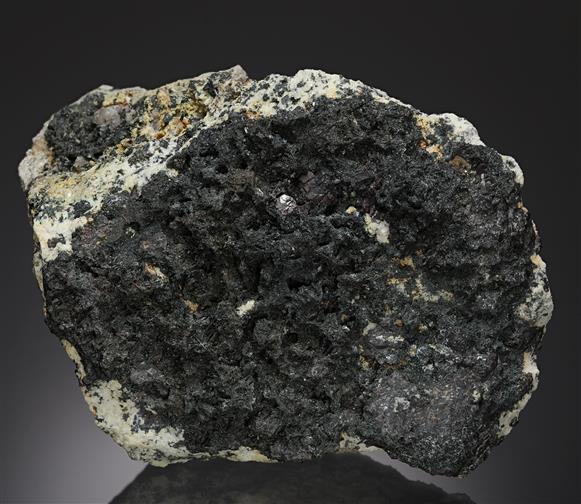 CC17041 specimen image