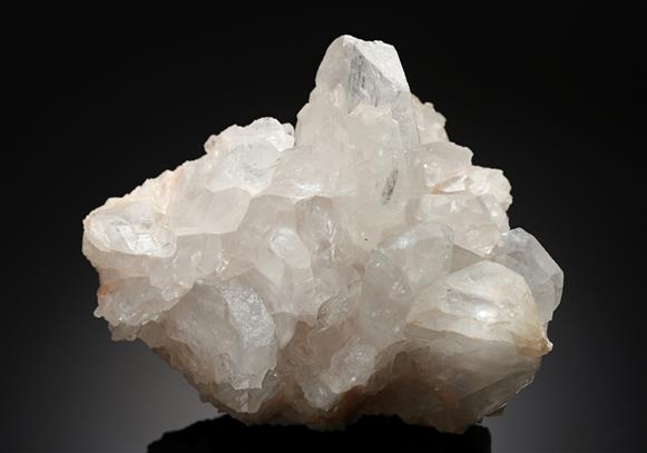 CC17046 specimen image