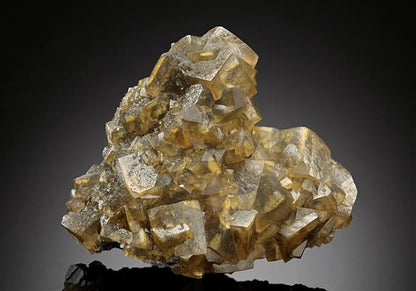CC17056 specimen image