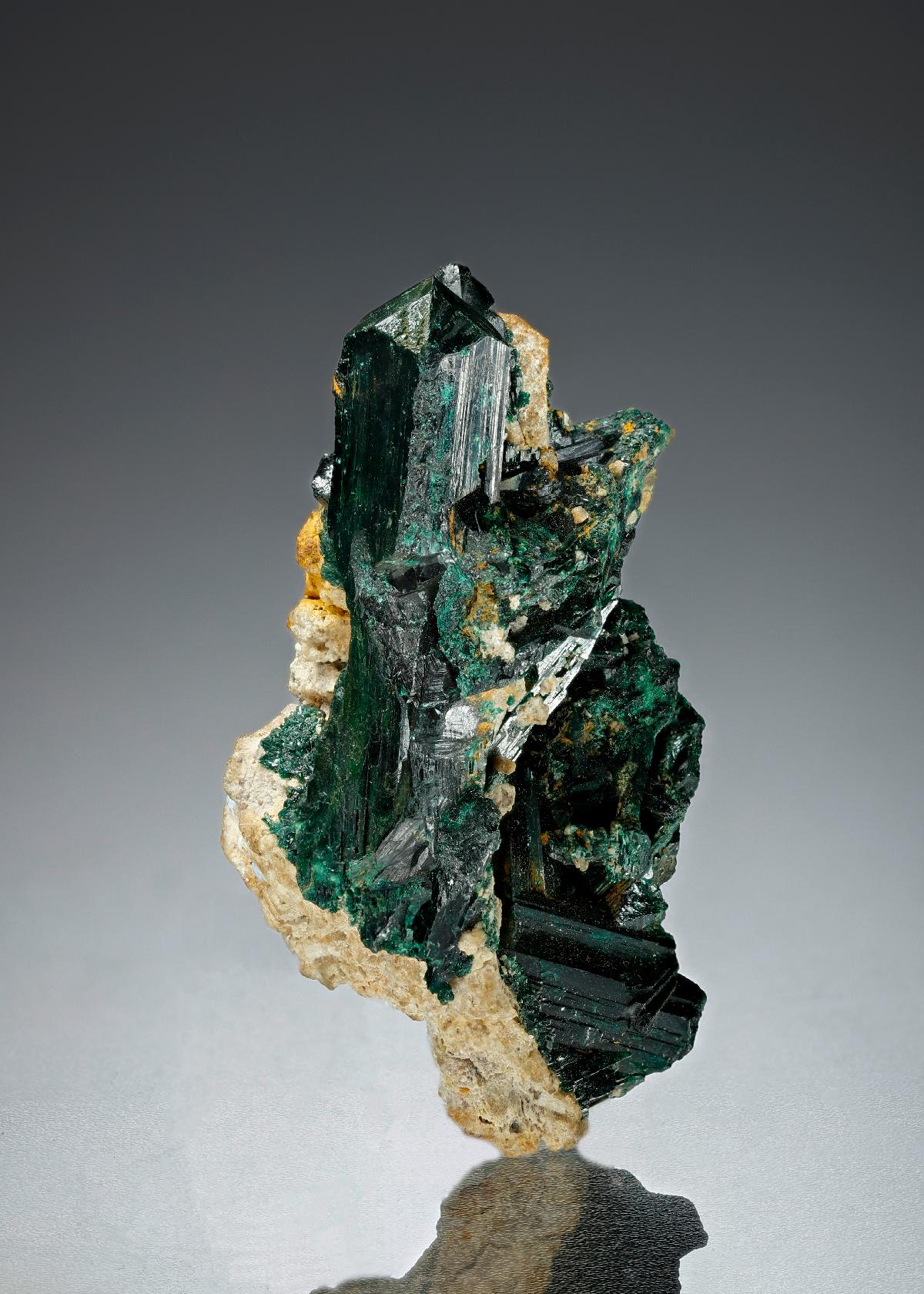 CC1705 specimen image
