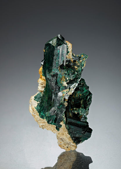 CC1705 specimen image