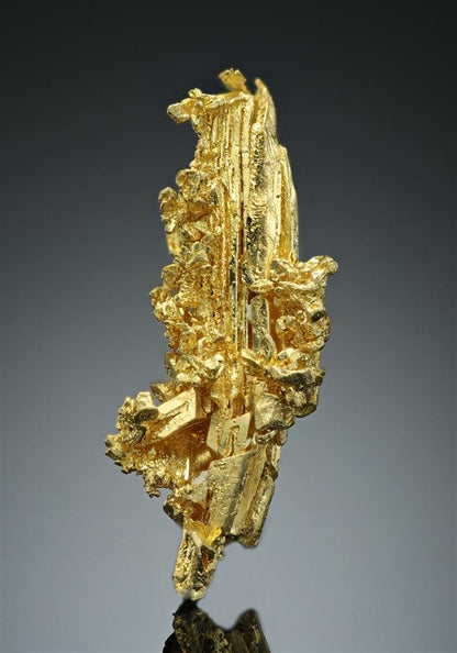 CC17064 specimen image