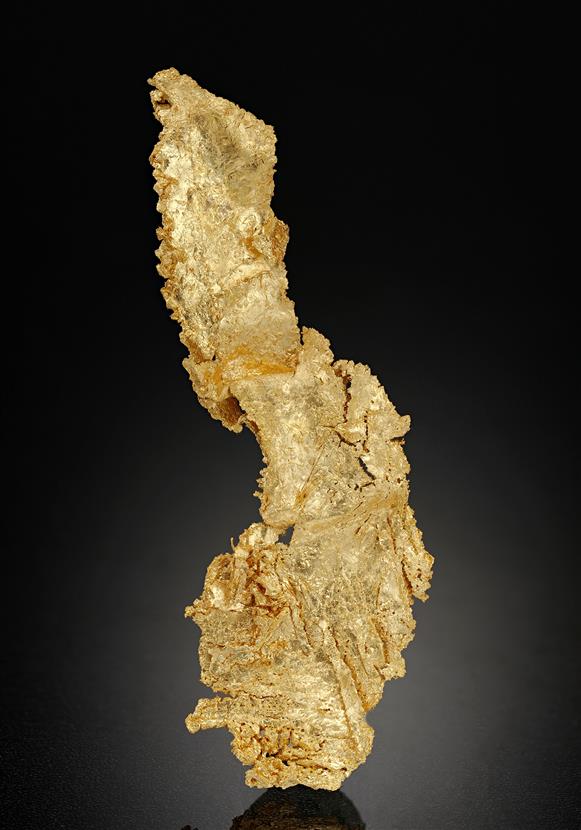 CC17093 specimen image